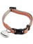 Beeztees Kedi Boyun Tasması, Zilli, Açık Gri, 20-30CM 1
