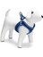 Beeztees Köpek Göğüs Tasması, Neopren, Mavi, M, 41-46CM 2