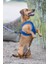 Beeztees Köpek Göğüs Tasması, Neopren, Mavi, S, 38-44CM 4