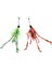 Beeztees Kedi Oltası, Zilli, Yün Ipler Uc, Uzun Dayanıklı IP-70CM, Çeşitli Renklerde, 50CM 2