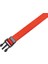 Beeztees Yavru Köpek Boyun Tasması, Çeşitli Renklerde, 22-35CM, 10MM 5