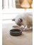 Beeztees Dbl Kedi Mama Su Kabı, Bambu, Bej 12CM, 250ML 3