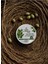 Zeytin Yağlı Cilt Bakım Kremi 175 ml 1