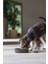 Dbl Köpek Yavaş Besleme Mama Kabı, Bambu, Antrasit, 17CM, 800ML 2