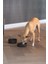 Dbl Köpek Yavaş Besleme Mama Kabı, Bambu, Antrasit, 17CM, 800ML 4