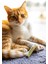 Kedi Pati Stick 5 ml 4