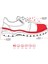 Loder 070R-S1 Siyah Rolaks 4