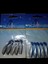 4cm Sahte Silikon - 5 Li - Iğnesiz Balık Formu - 2paket 1
