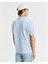 Polo Yaka Regular T-Shirt 3