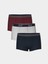Yeni Sezon Erkek Cocuk Boxer 3'lu - S50211Z4 1