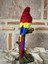 Papağan Macaw 1