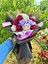 Love Premium Buket Hediye Sevgiliye Anneye Hediye Özel Gün Doğum Günü Yıldönümü Hediye 3