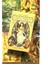Altın Şafak Tarzı 78 Kartlı Viktorya Peri Tarotu Fal Tahmin Eğlence Satranç ve Kart Oyunu Tarot ve Çeşitli Tarot Seçenekleri (Yurt Dışından) 2