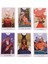 Tarot Stili Tanrıçası Tarot Falı Kartları Oyunları Beyaz Numen Kutsal Hayvan Tam Ingilizce Sürüm Pdf Kılavuz Kitap Destesi Oyun Kartı Parti Türkçe Dilinde (Yurt Dışından) 3