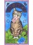 Kedi Tarot Stili Işık Seer's Tarot Kartları Altın Art Nouveau Yeşil Cadı Evrensel Kelt Thelema Steampunk Tarot Oyunu Oyunlarının Tahtı (Yurt Dışından) 1