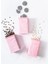 Akrilik Soft Pembe Şeker Kahve Çay Kavanozu 500 ml (Vakum Kapak ) 2