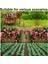 30 Adet 360 Derece Bitki Kök Eğitici Klipler, Ayarlanabilir Bitki Dalları Bükücü Klipler, Bitkilerin Bitki Eğitim Kontrolü (Yurt Dışından) 4