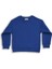 Blueberry 2