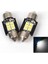 Sofit LED Canbus 6 LED 31MM Iç Tavan Plaka 2 Adet 3