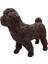 Soft Köpekler - Poodle Cinsi Köpek - E013 () 2