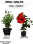 Saksılı 2’li Çiçek Seti – Kırmızı Japon Gülü & Filbahri (30-50CM Boy Aralığı) 1