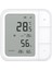 Akıllı Klima Sensörü TH-S04D (Apple Home Destekli) 1