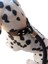 Köpek boyun tasması gezdirme kayışlı deri halat uzunluk:100cm tasma:35-60cm ayarlamalı dog collar TB4-4 5