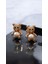 Vıp Paslanmaz Çelik Teddy Küçük Rose Gold Küpe 1