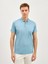 Erkek Regular Fıt Polo Yaka Tişört-Mint 2