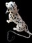 Köpek Boyun Tasması Gezdirme Kayışlı Hakiki Deri Halat Kalınlık:12mm Uzunluk:120cm Dog Leash Tb5-5 2