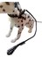 Köpek gezdirme tasması orta ve büyük ırk siyah deri-halat:14mm uzunluk:120cm tasma:ayarlamalı dog collar TB6-2 5