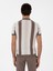 Erkek Ekru Slim Fit Apaş Yaka Triko T-Shirt 50300805-VR019 5