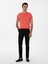 Erkek Mercan Slim Fit Bisiklet Yaka Triko T-Shirt 50300809-VR186 4