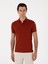 Erkek Kiremit Slim Fit Polo Yaka Pamuklu Basic T-Shirt 50300934-VR031 1