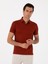Erkek Kiremit Slim Fit Polo Yaka Pamuklu Basic T-Shirt 50300934-VR031 3