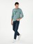 Erkek Yeşil Regular Fit Bisiklet Yaka Sweatshirt 50300976-VR054 4