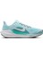 Air Zoom Pegasus 41 Kadın Sneaker Ayakkabı FD2723-401-ÇOK Renkli 1