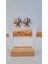Premium Paslanmaz Çelik Oval Çizgi Detaylı Küpe 2