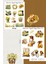 Watercolor Daffodil Temalı Şeffaf Sticker Seti 01-02 Ajanda Planlayıcı Bullet Journal Için Uygundur 1