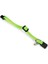 Yavru Kedi Boyun Tasması, Zilli, Parlak Yeşil, 15-22CM 2