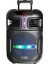 GD-1503 Dijital LED Göstergeli Fm Radyolu Mikrofonlu Rgb Tws 15 Inç Stereo Bass Kablosuz Karaok 2