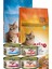 & Mito Mix Kedi Maması 1 kg + 1 kg + 4 Yaş Mama 85 Gr.lık 1