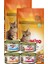 Kedi Maması 2 x 1 kg + 4 Adet Yaş Mama 85 gr Lık 1