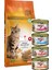 Kedi Maması 1 kg + 4 Adet Yaş Mama 85 Gr. Lık 1