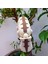 Appa Figür Avatar The Last Airbender Figür Avatar Son Havabükücü Hareketli Appa Figür 4