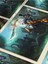 Shaco - Oyun Posterleri, Özel Tasarım Kağıt Poster 4
