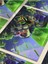 Veigar - Oyun Posterleri, Özel Tasarım Kağıt Poster 4