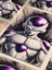 Frieza - Dragon Ball - Anime & Manga Posterleri, Özel Tasarım Kağıt Poster 4