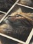 Kedi Teması, Özel Tasarım Kağıt Poster, Duvar Sanatı 4