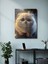 Kedi Teması, Özel Tasarım Kağıt Poster, Duvar Sanatı 3